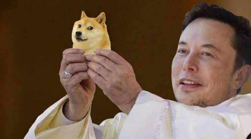 Elon Musk và Dogecoin. Ảnh: Twitter Elon Musk