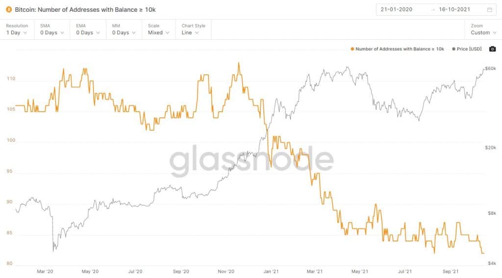 Lượng ví cá voi nắm giữ từ 1000 Bitcoin trở nên giảm xuống mức thấp nhất lịch sử. Ảnh: Glassnode