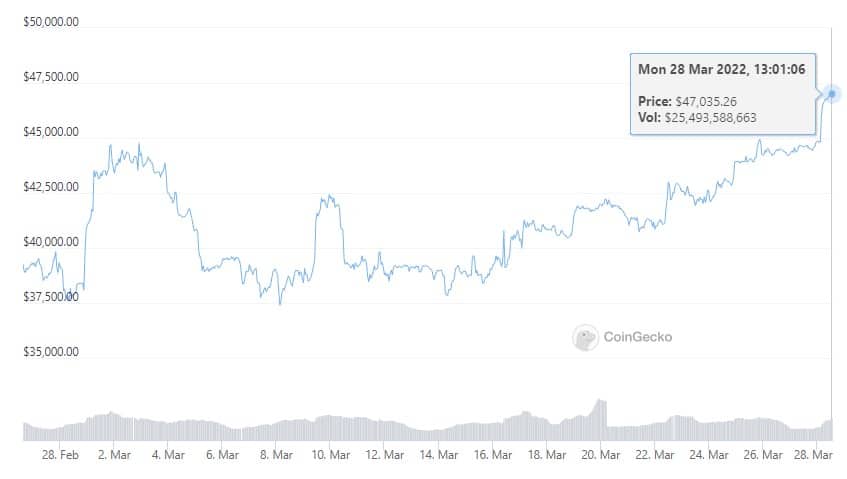 Biến động giá Bitcoin trong một tháng qua. Dữ liệu: Coingeko.com
