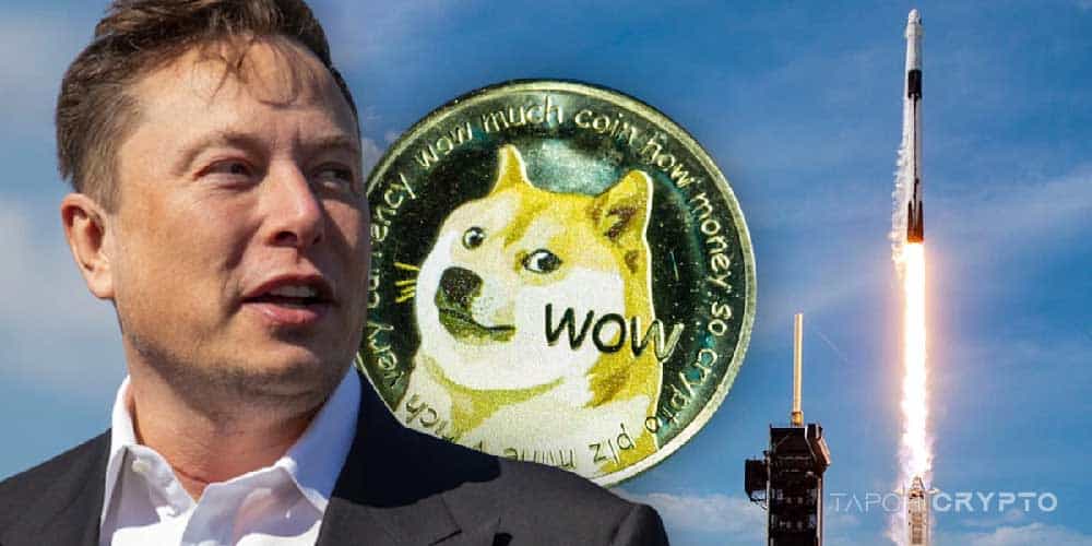 spacex chap nhan dogecoin