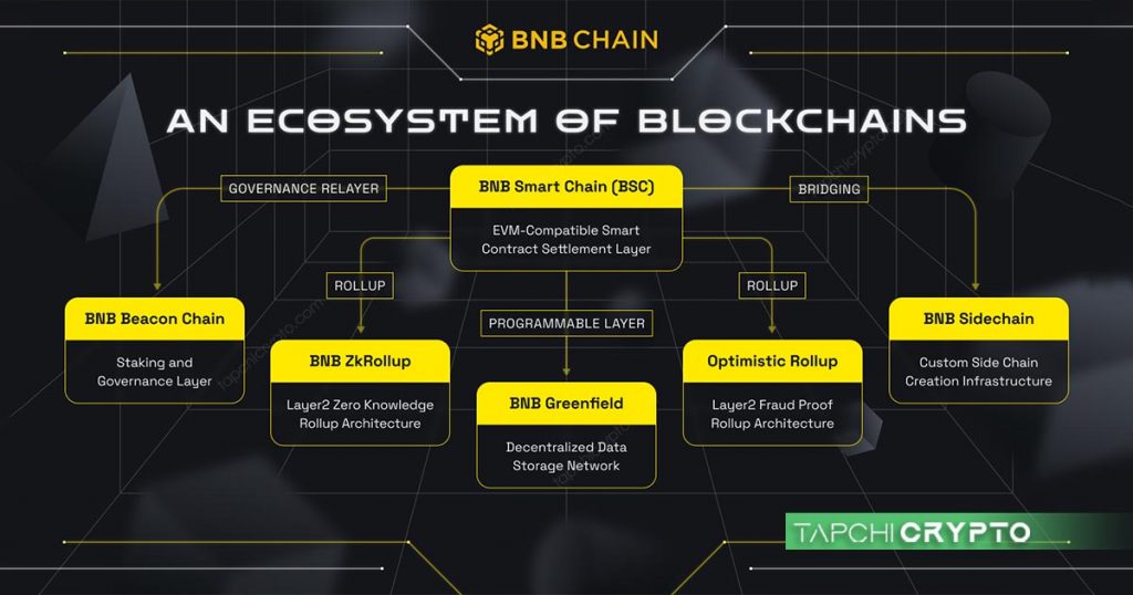 Cấu trúc blockchain BNB Chain cho phép xử lý nhiều giao dịch với phí thấp và tốc độ nhanh.