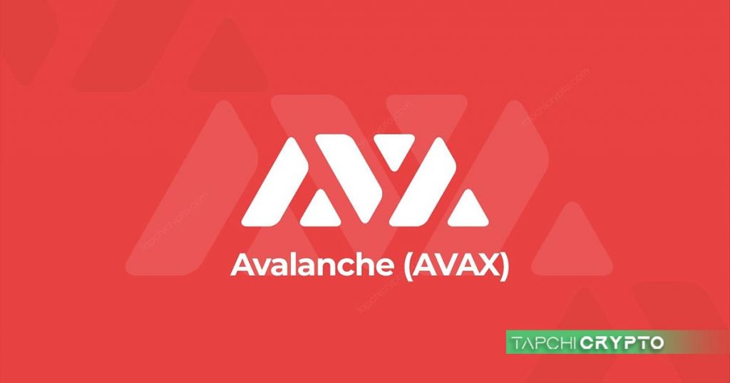 Avalanche, một dự án Layer 0 cũng có mô hình hoạt động có sự đồng thuận cao.