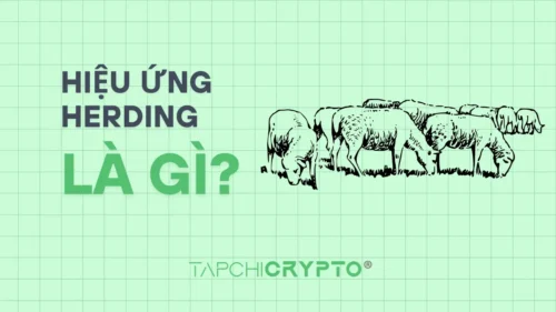 Hiệu ứng Herding là gì? Tâm lý bầy đàn trong thị trường