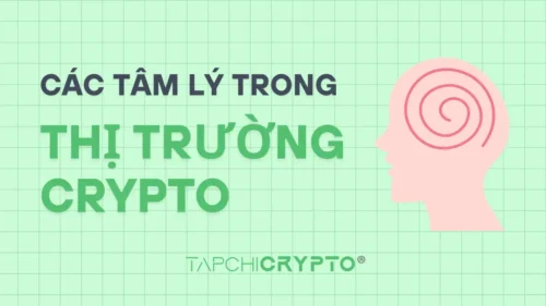 Tâm lý thị trường crypto và cách nắm bắt xu hướng giá