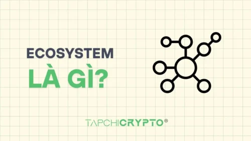 Ecosystem là gì? Hệ sinh thái trong blockchain và crypto